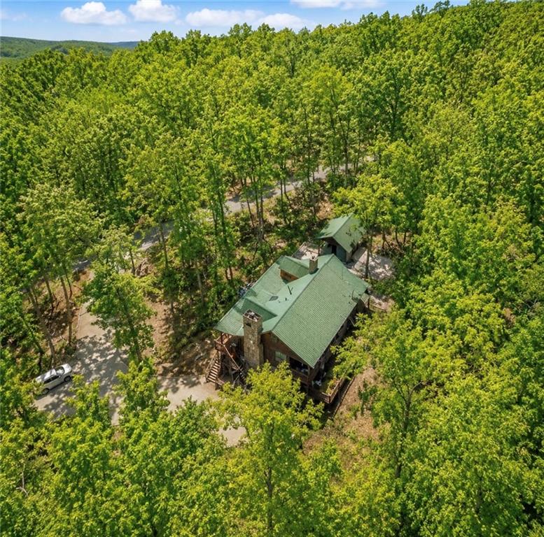 71 Cutthroat Ridge Road Jasper, GA 30143 - Photo 32 of 44