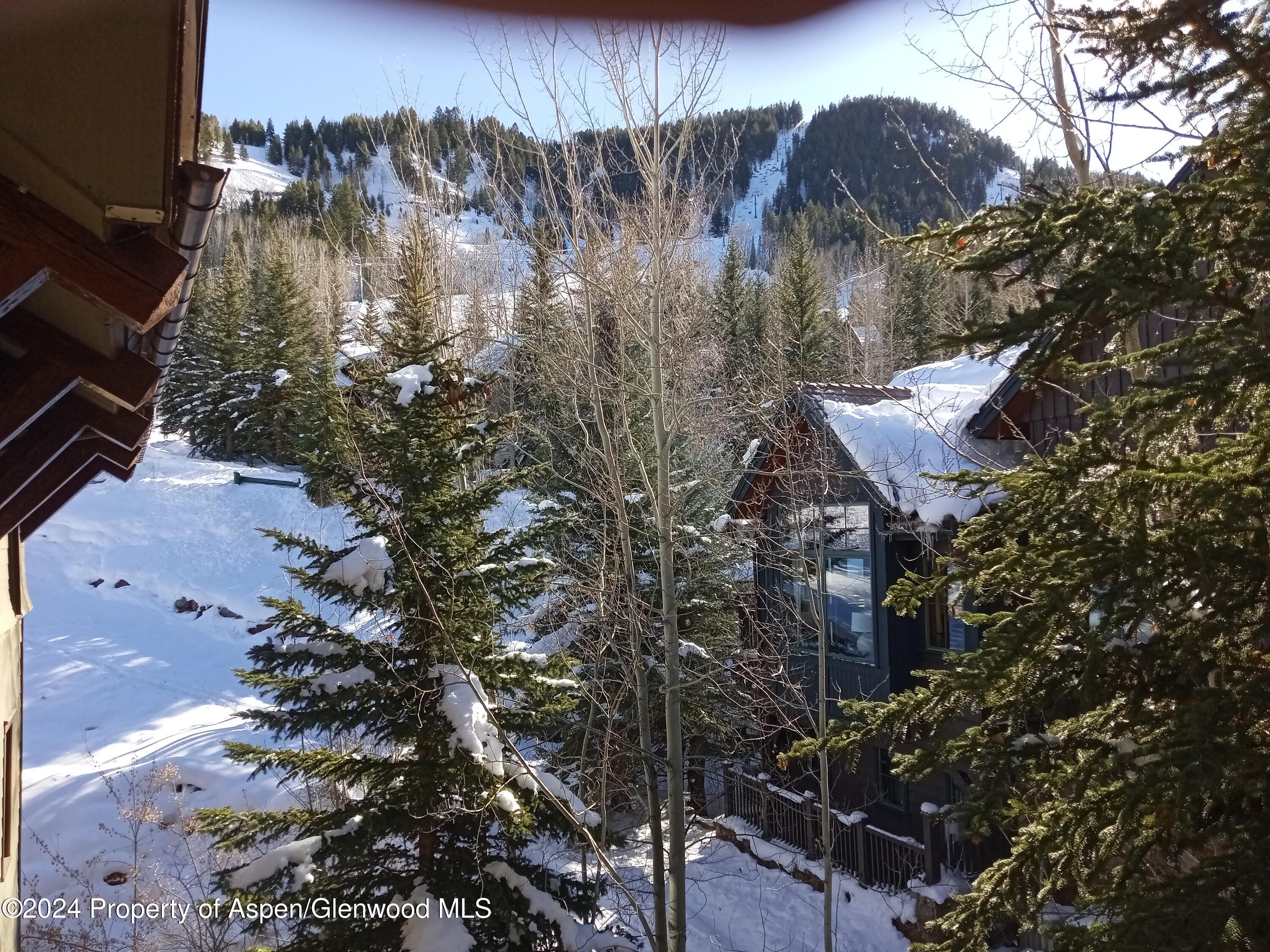 75 Prospector Road, Unit 8106 WINTER INTEREST 6 Aspen, CO 81611 - Photo 15 of 19 20241204_131132
