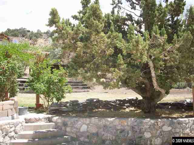 14440 Virginia Foothills Drive Reno, NV 89521 - Photo 9 of 9 a view of a yard with a tree
