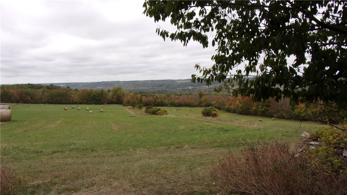 8694 Scipio Road Nunda, NY 14517 - Photo 11 of 17