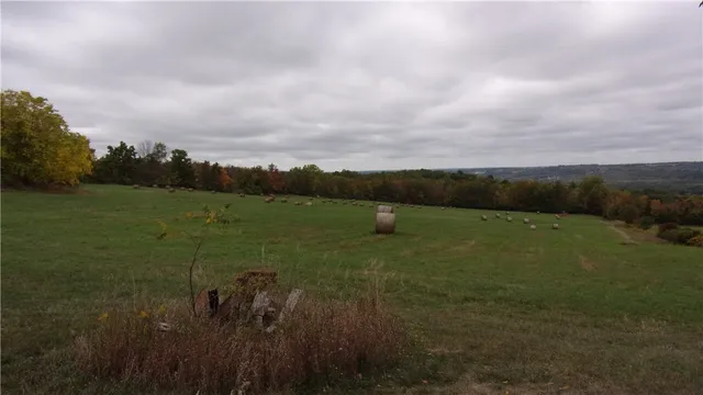 $225,000 | 8694 Scipio Road, Nunda, NY 14517