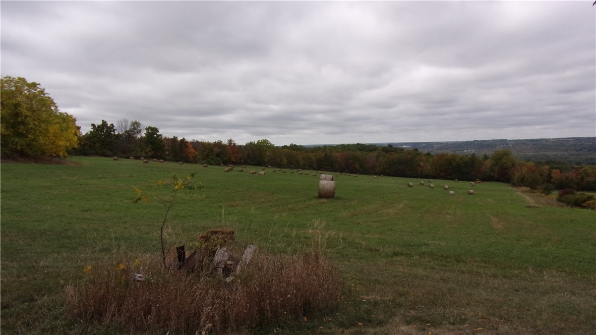 8694 Scipio Road Nunda, NY 14517 - Photo 10 of 17