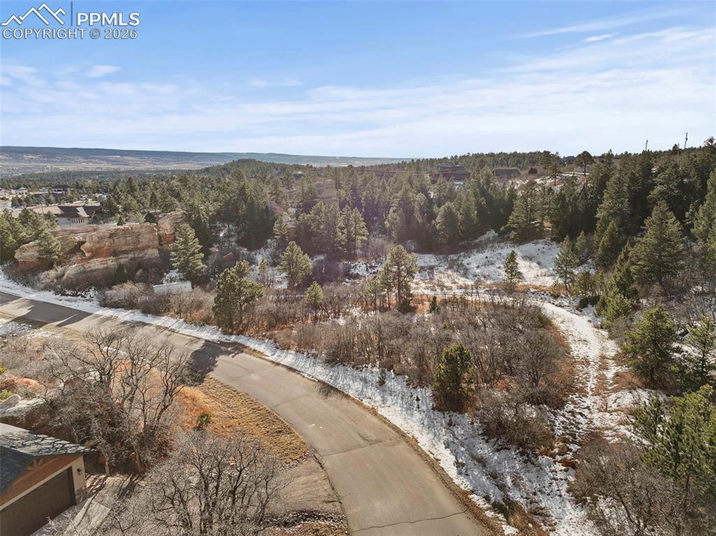 4549 Redstone Ridge Road Monument, CO 80132 - Photo 43 of 50