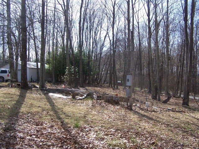 74 Hc Road Sandstone, WV 25985 - Photo 7 of 7 View of the woods on property