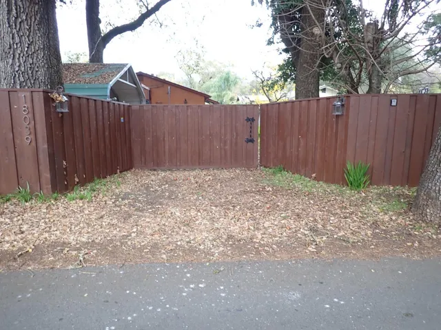 a backyard of a house with plants and large trees