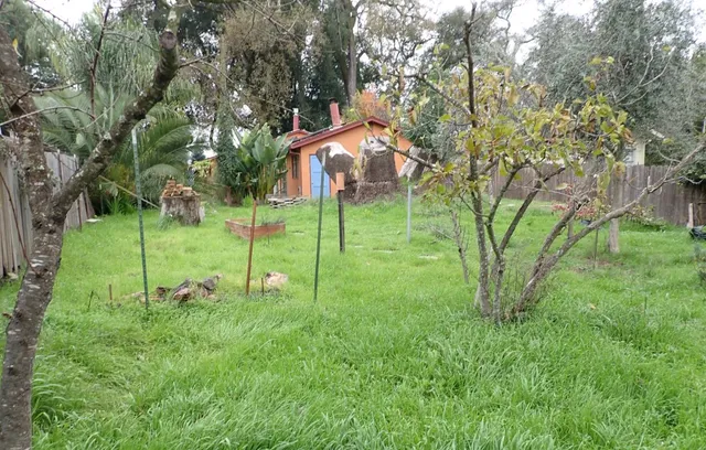 a backyard of a house with barbeque oven and outdoor seating
