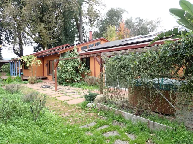 a view of a backyard with plants and a backyard