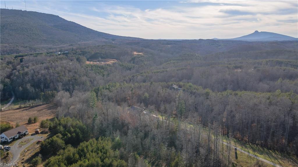 1566 Thore Road Pinnacle, NC 27043 - Photo 47 of 48