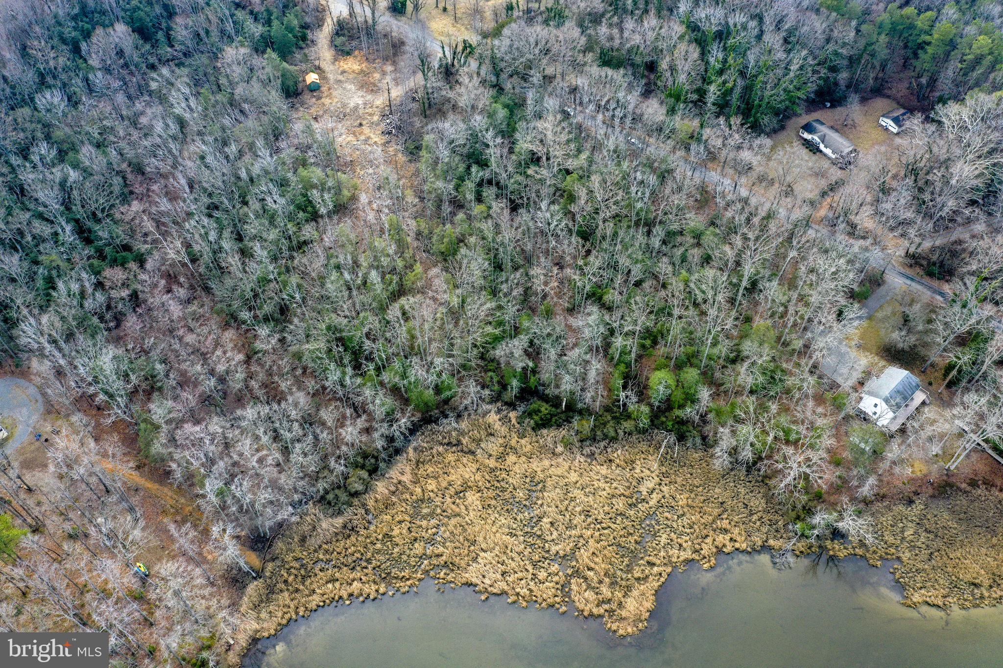 0 Rowes Landing Road Heathsville, VA 22473 - Photo 3 of 7