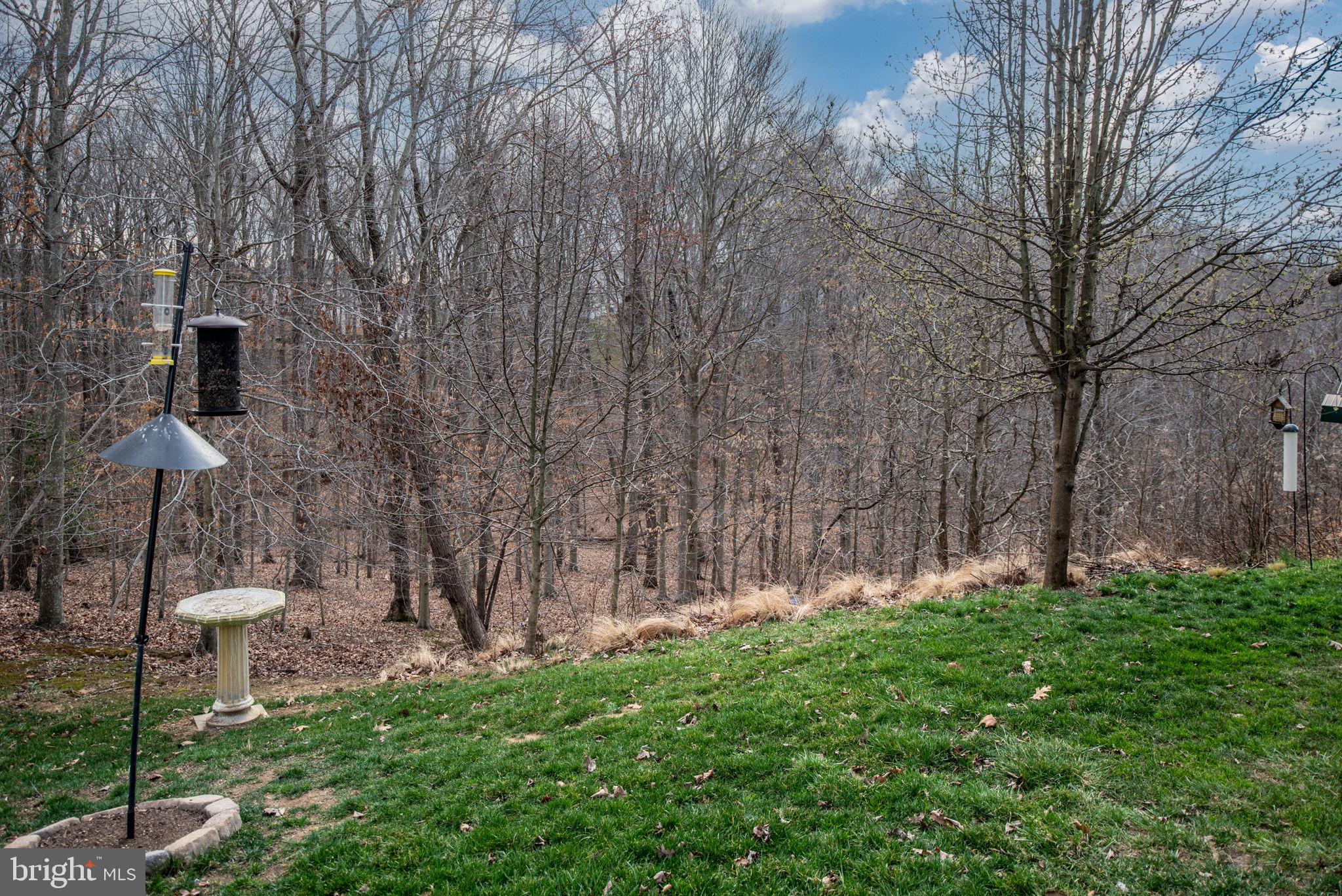 6 Banner Spring Circle Stafford, VA 22554 - Photo 95 of 95