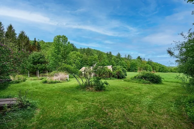a view of a green field with lots of bushes