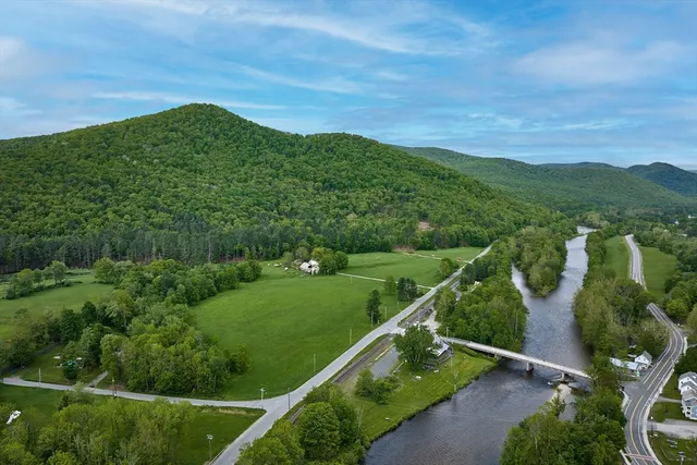 a view of a lush green field with plants in the background