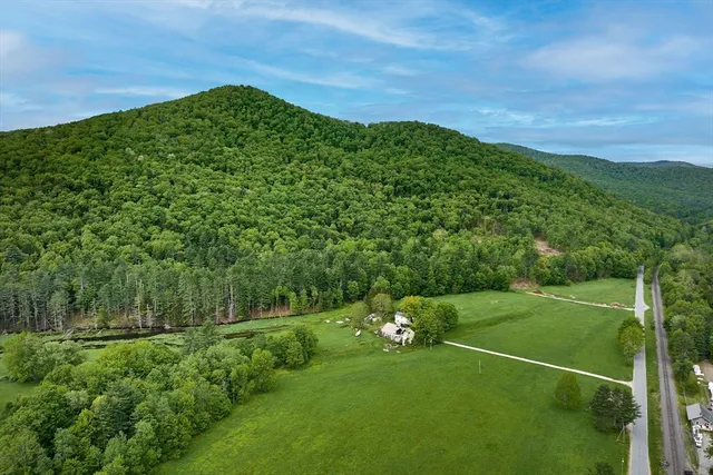 a view of a field with grass and plants