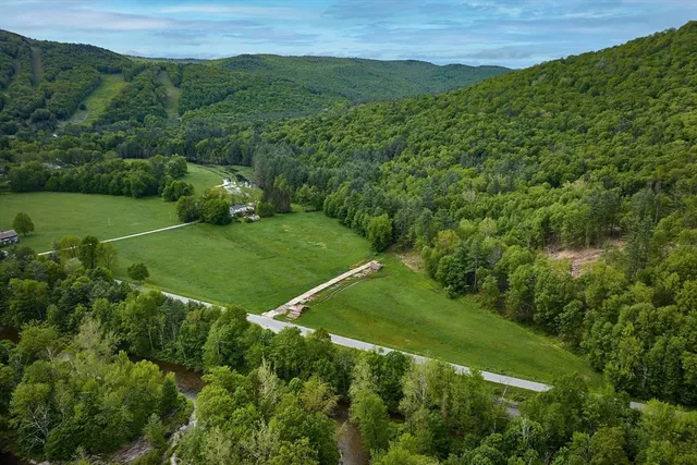 a view of a lush green hillside and a houses