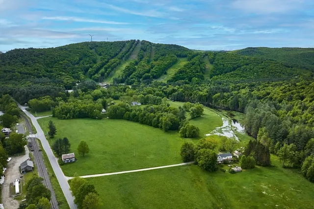 a view of a lush green forest with a houses