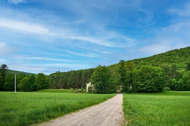 a view of a grassy field with trees in the background