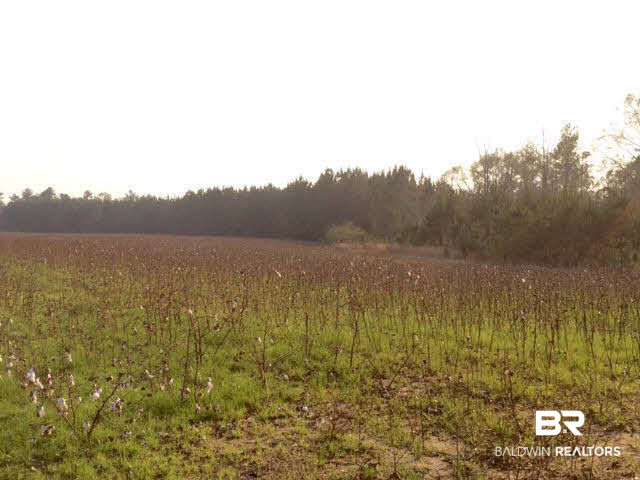 0 Pineview Cemetery Road Brewton, AL 36426 - Photo 3 of 4
