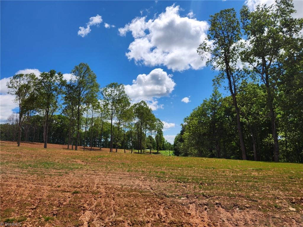 Tbd Cox Road Mount Airy, NC 27030 - Photo 1 of 30 Gallery Image 1