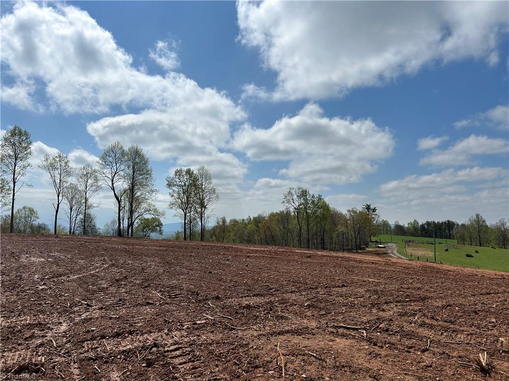 Tbd Cox Road Mount Airy, NC 27030 - Photo 12 of 30 Gallery Image 12
