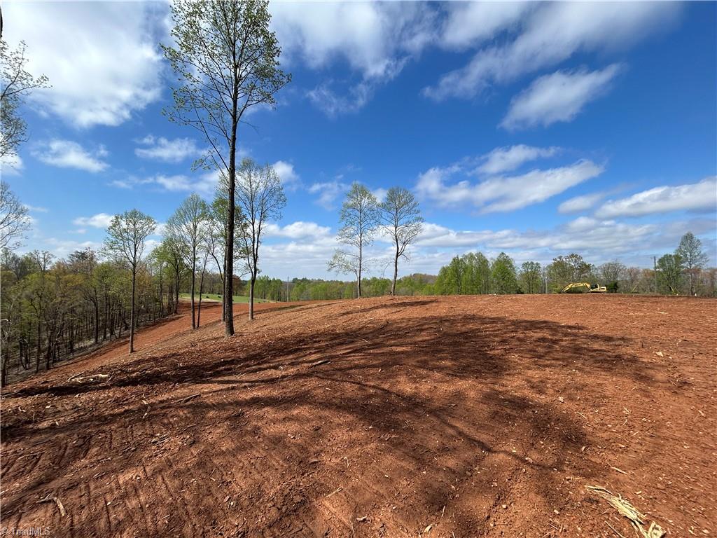 Tbd Cox Road Mount Airy, NC 27030 - Photo 14 of 30 Gallery Image 14