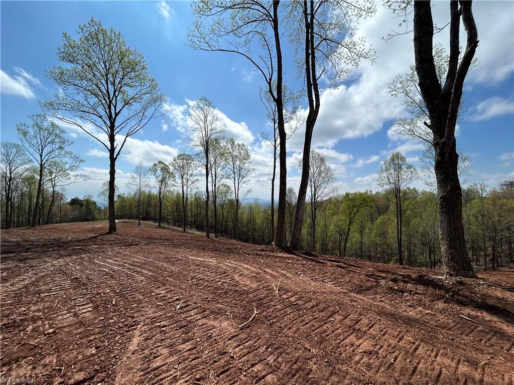 Tbd Cox Road Mount Airy, NC 27030 - Photo 19 of 30 Gallery Image 19