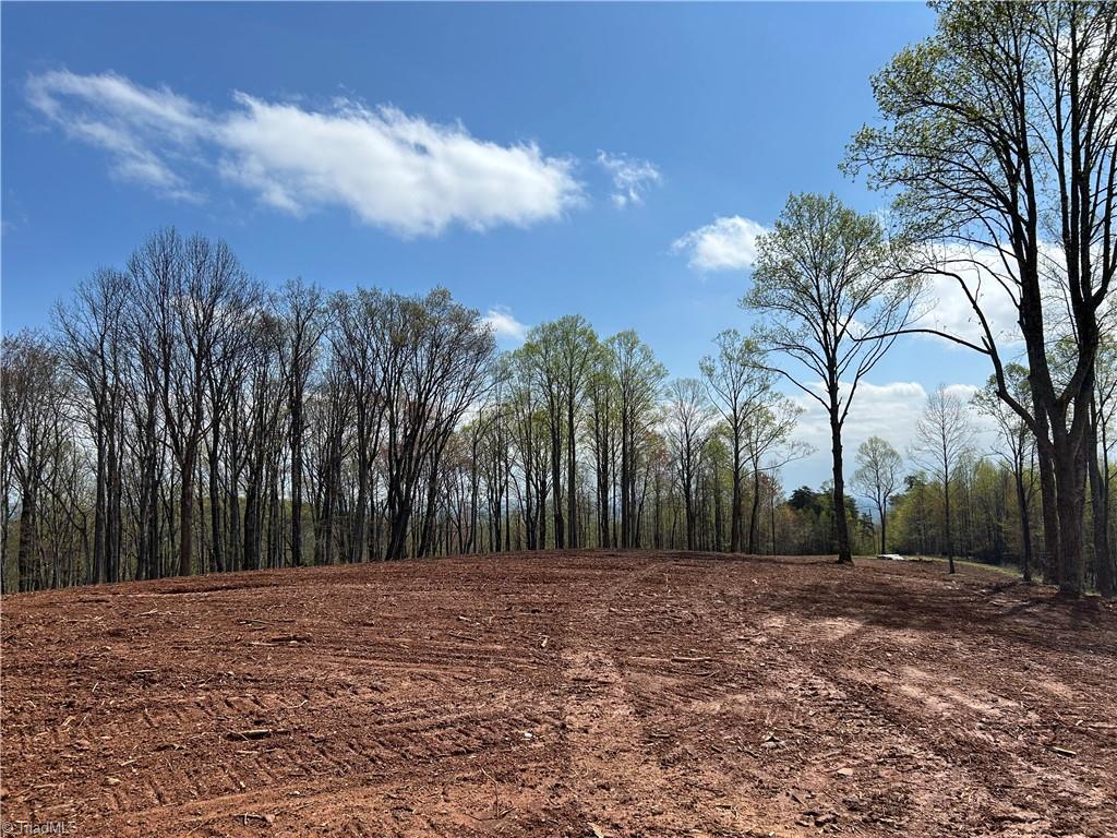 Tbd Cox Road Mount Airy, NC 27030 - Photo 20 of 30 Gallery Image 20