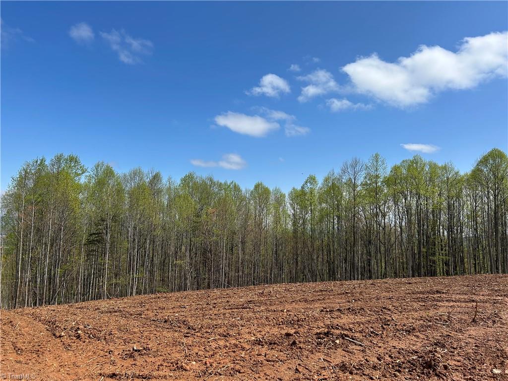 Tbd Cox Road Mount Airy, NC 27030 - Photo 24 of 30 Gallery Image 24