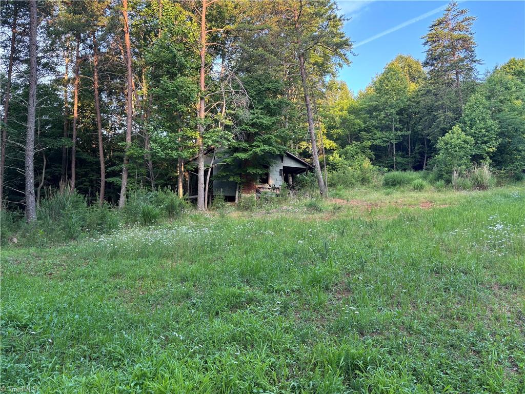 Tbd Cox Road Mount Airy, NC 27030 - Photo 25 of 30 Gallery Image 25