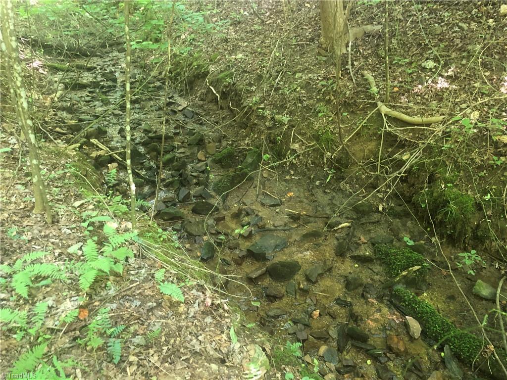 Tbd Cox Road Mount Airy, NC 27030 - Photo 29 of 30 Gallery Image 29