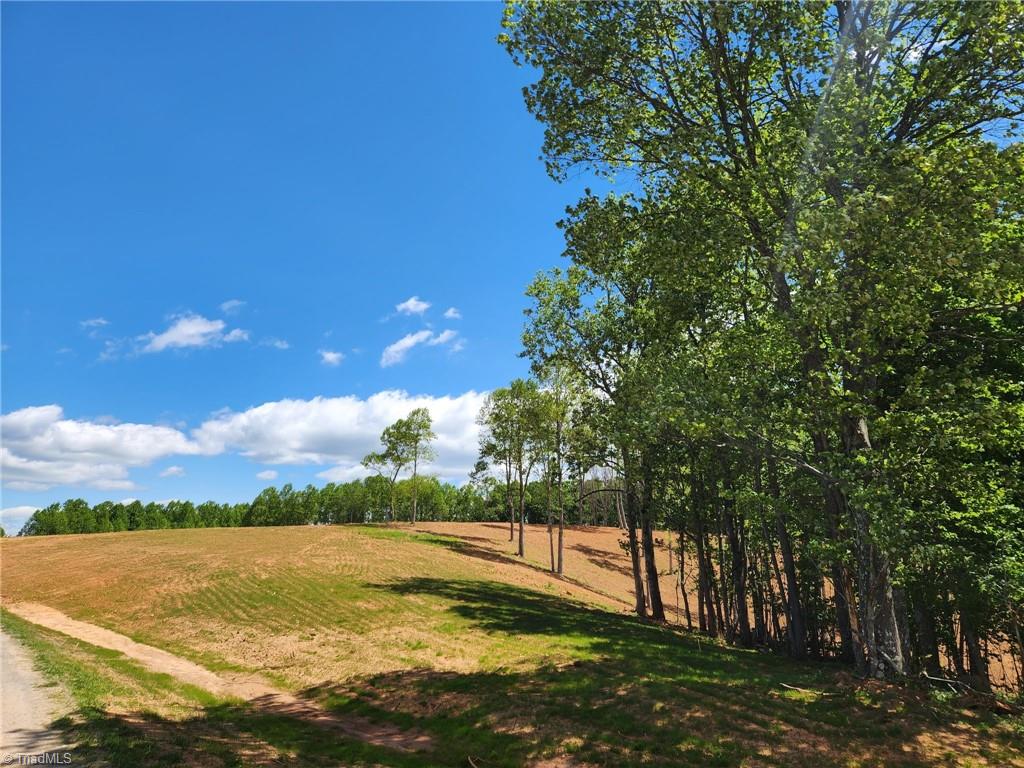 Tbd Cox Road Mount Airy, NC 27030 - Photo 3 of 30 Gallery Image 3