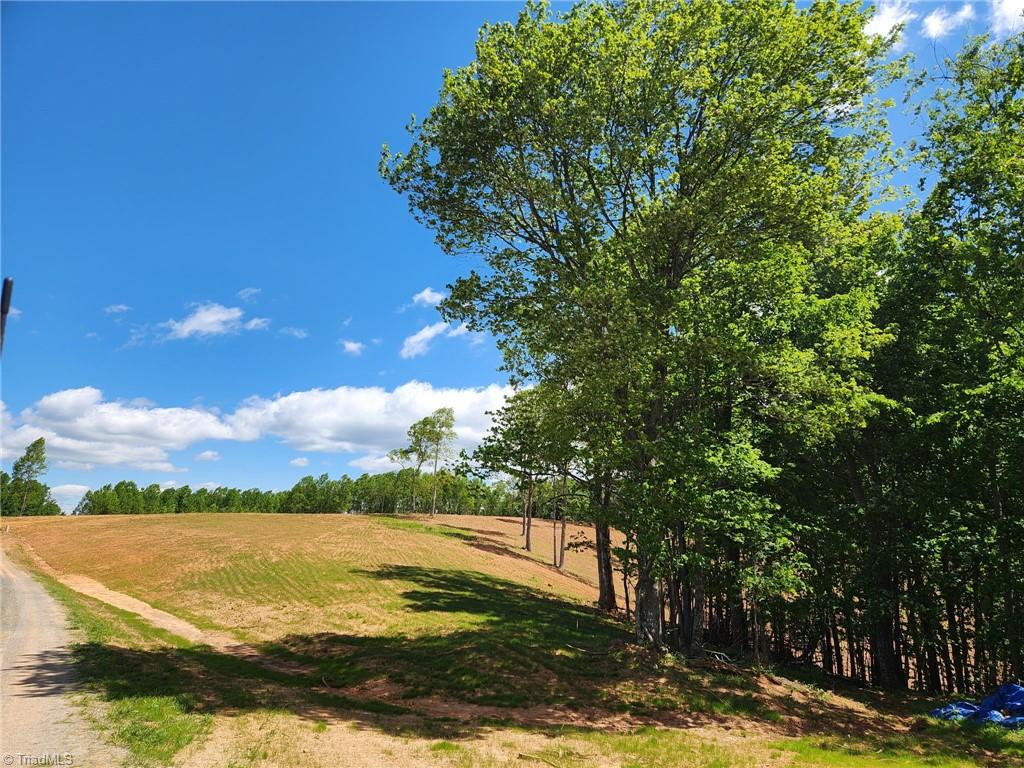 Tbd Cox Road Mount Airy, NC 27030 - Photo 5 of 30 Gallery Image 5