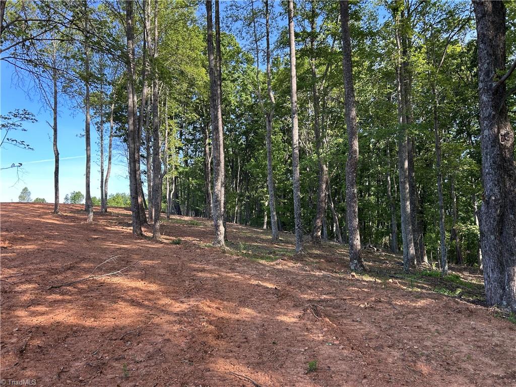 Tbd Cox Road Mount Airy, NC 27030 - Photo 6 of 30 Gallery Image 6