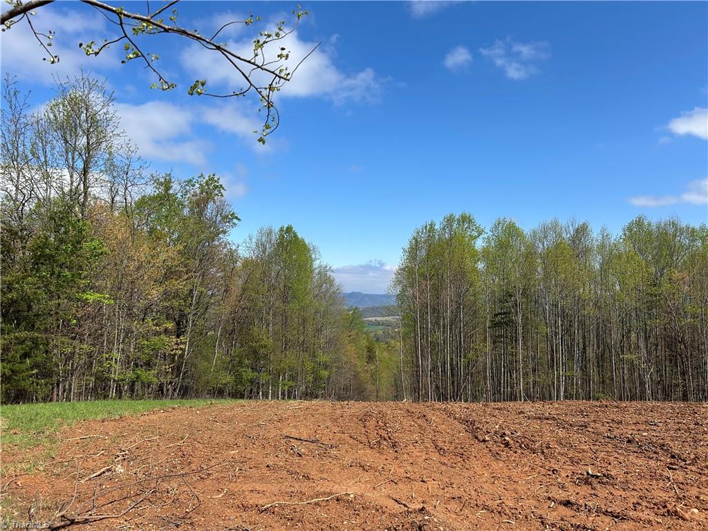 Tbd Cox Road Mount Airy, NC 27030 - Photo 7 of 30 Gallery Image 7
