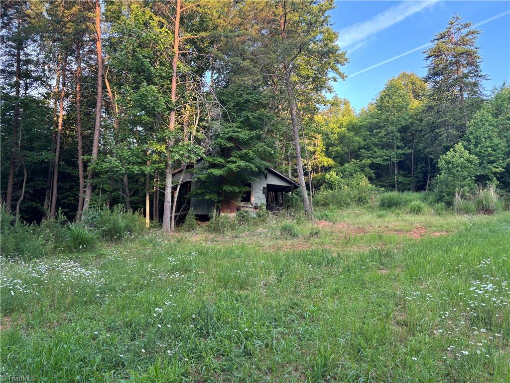 Tbd Cox Road Mount Airy, NC 27030 - Photo 10 of 30 Gallery Image 10