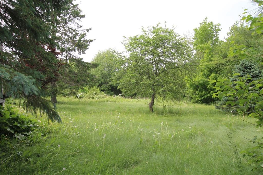 236 Ridge Road Robbinston, ME 04671 - Photo 19 of 24 field