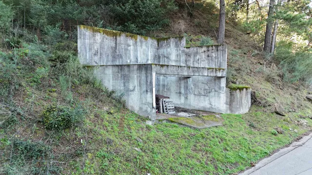 a view of a backyard with fountain