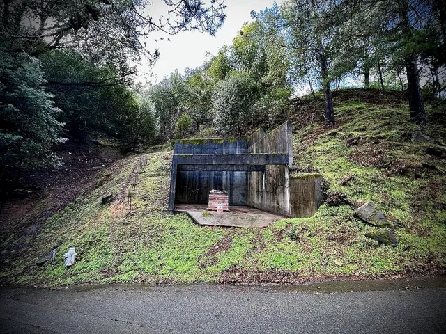 a view of a garden with wooden fence