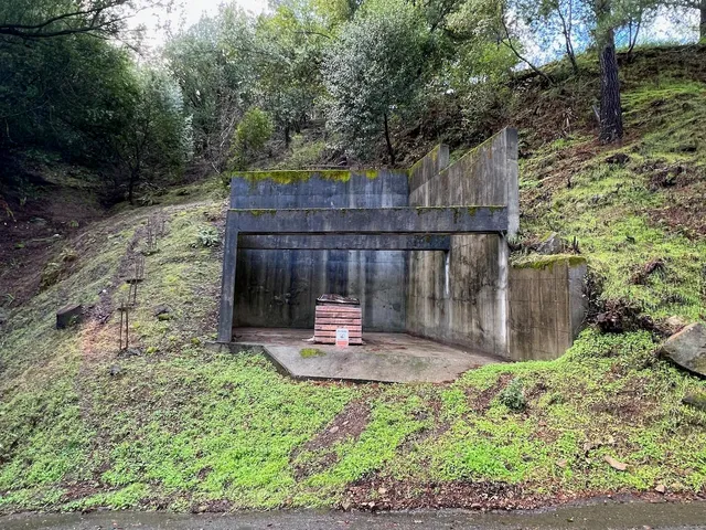 an aerial view of garden with swimming pool