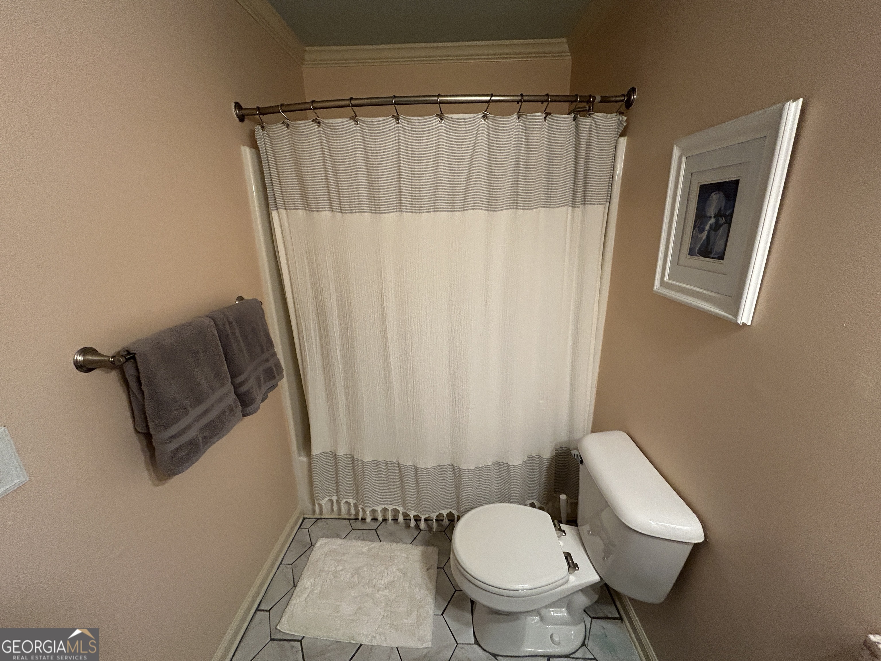 406 Yonah Mountain Road Cleveland, GA 30528 - Photo 16 of 65 a white toilet sitting next to a shower curtain