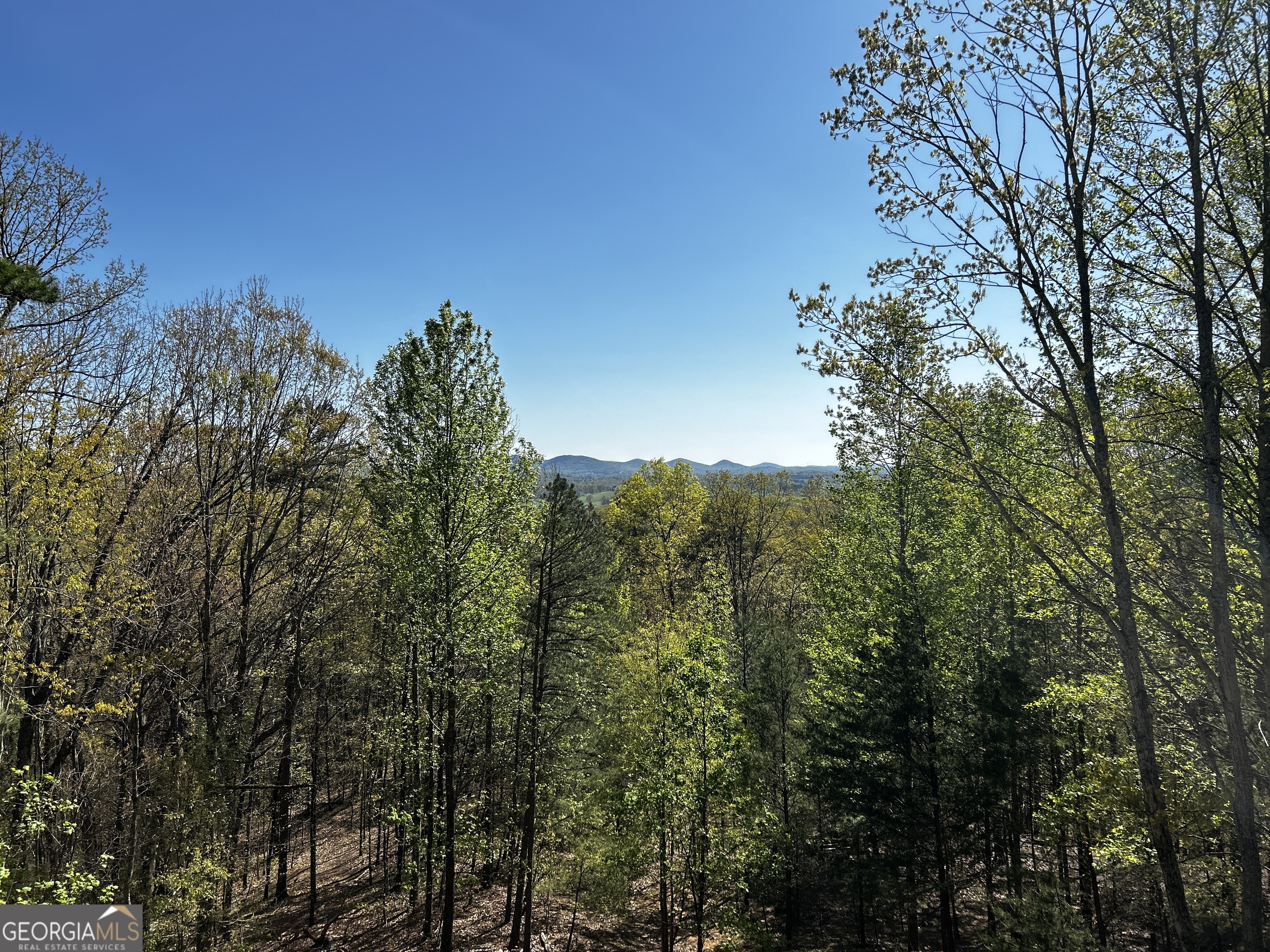 406 Yonah Mountain Road Cleveland, GA 30528 - Photo 59 of 65