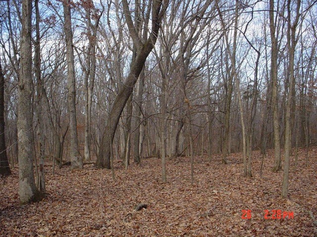 2395 East 29th Road Seneca, IL 61360 - Photo 12 of 24