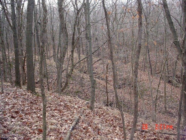 2395 East 29th Road Seneca, IL 61360 - Photo 14 of 24