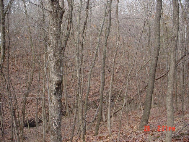2395 East 29th Road Seneca, IL 61360 - Photo 16 of 24