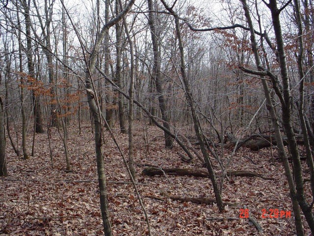 2395 East 29th Road Seneca, IL 61360 - Photo 18 of 24