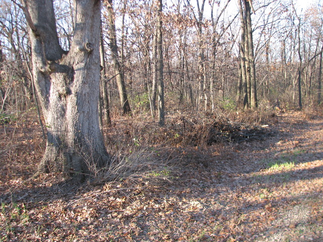 2395 East 29th Road Seneca, IL 61360 - Photo 2 of 24