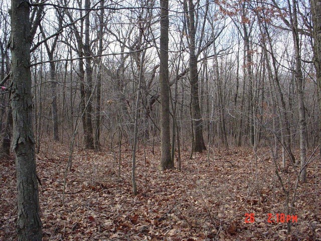2395 East 29th Road Seneca, IL 61360 - Photo 21 of 24