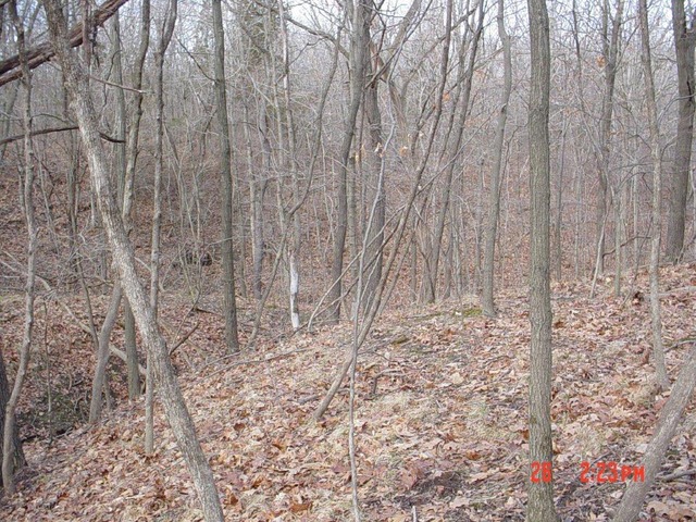 2395 East 29th Road Seneca, IL 61360 - Photo 23 of 24