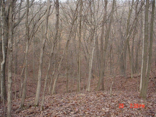 2395 East 29th Road Seneca, IL 61360 - Photo 24 of 24