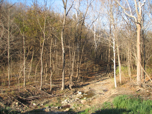 2395 East 29th Road Seneca, IL 61360 - Photo 3 of 24
