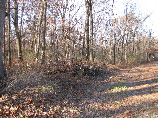 2395 East 29th Road Seneca, IL 61360 - Photo 4 of 24